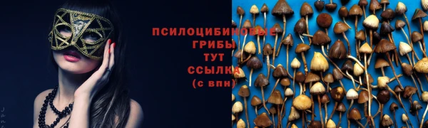 ECSTASY Козловка