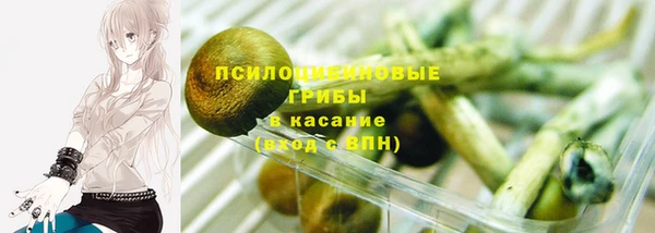 ECSTASY Козловка