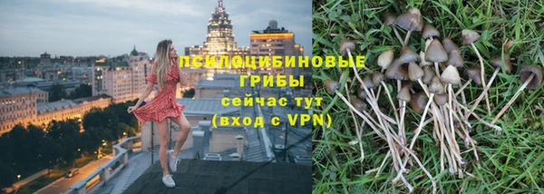 ALPHA PVP Корсаков